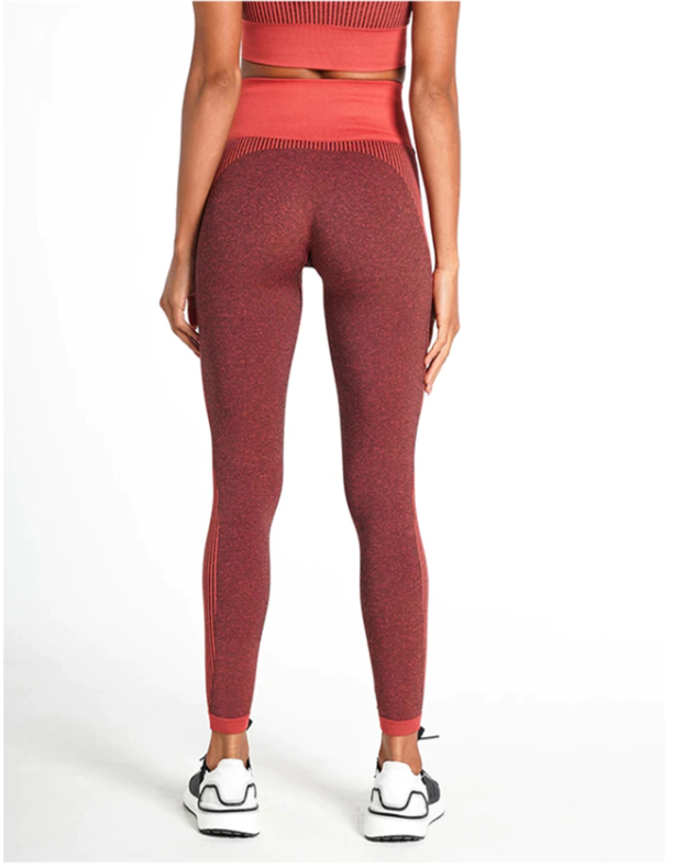 Dry Fit Seamless BRA & LEGGINGS SET