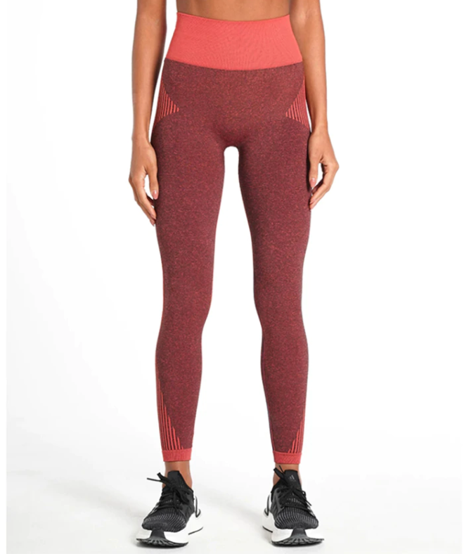Dry Fit Seamless BRA & LEGGINGS SET